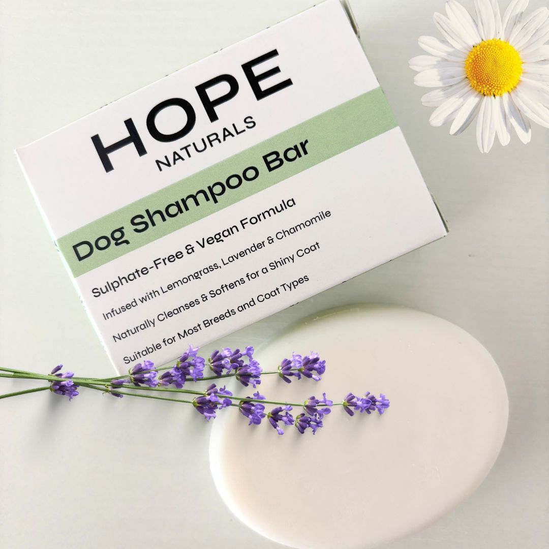 Complete Eco Care Set – Plastic-Free Subscription Box, Wellness in a Box, Natural, Vegan, Paraben-Free, Made in the UK